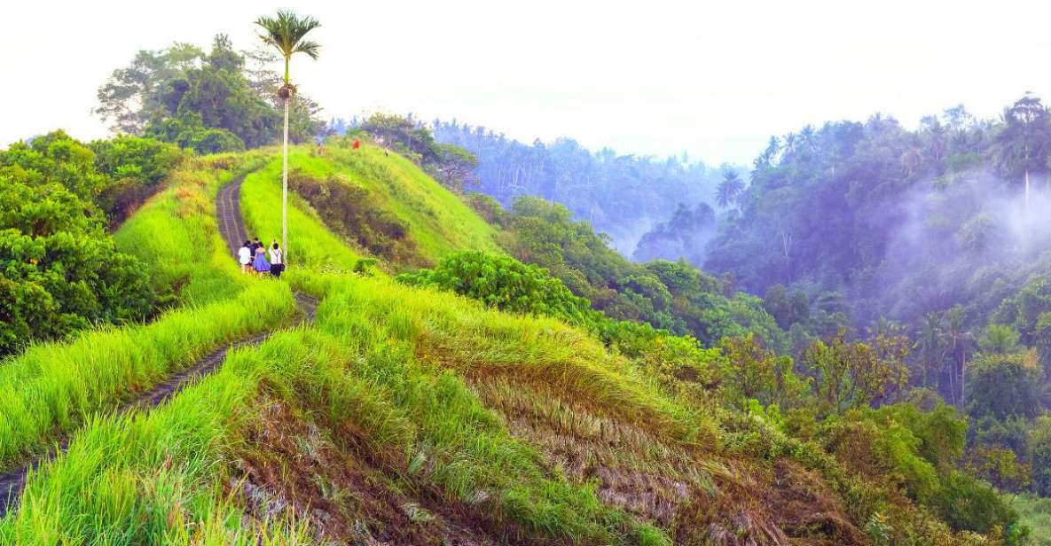 Ubuds Campuhan Ridge Walk: A Self-Guided Audio Tour