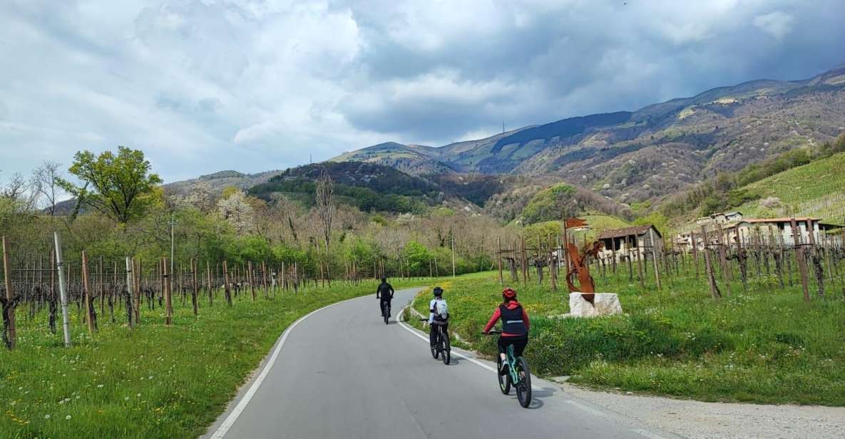 Valdobbiadene Hills: E-Bike Tour With Food&Wine Tasting