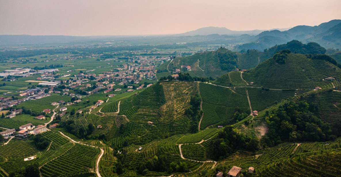 Valdobbiadene: Private Prosecco Tour & Tasting With a Sommelier