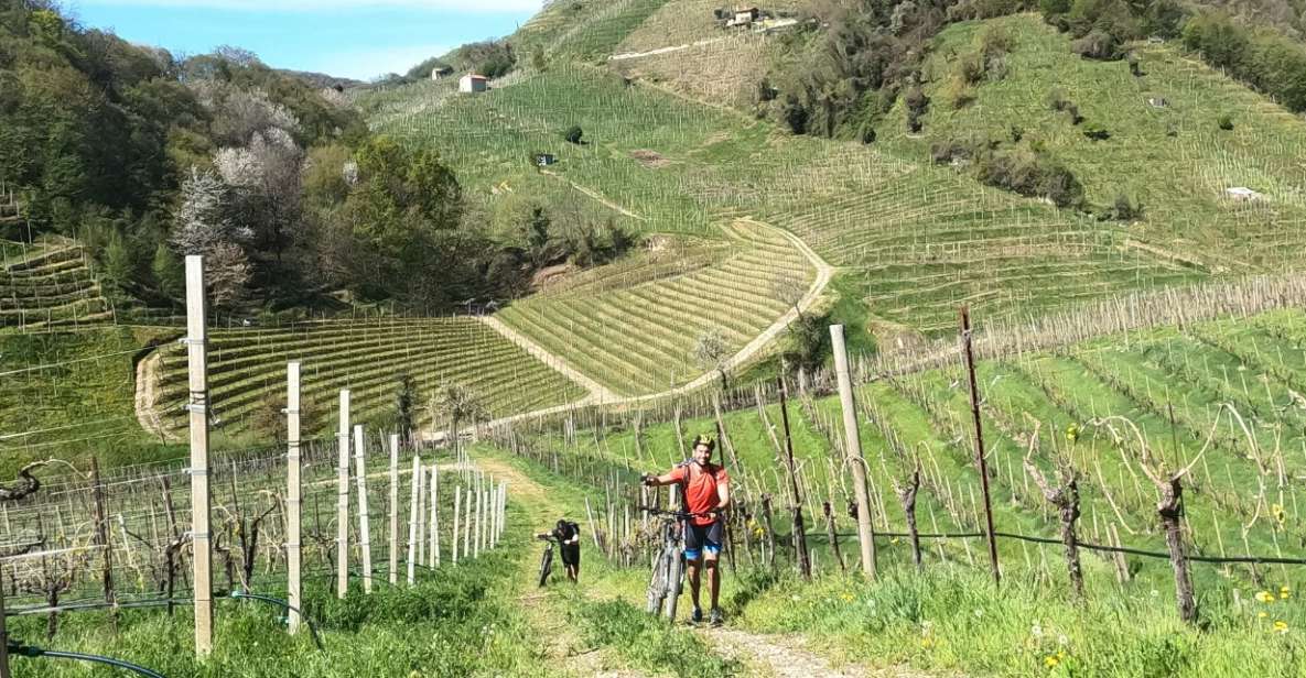 Valdobbiadene – Prosecco Hills Cycling With Sommelier