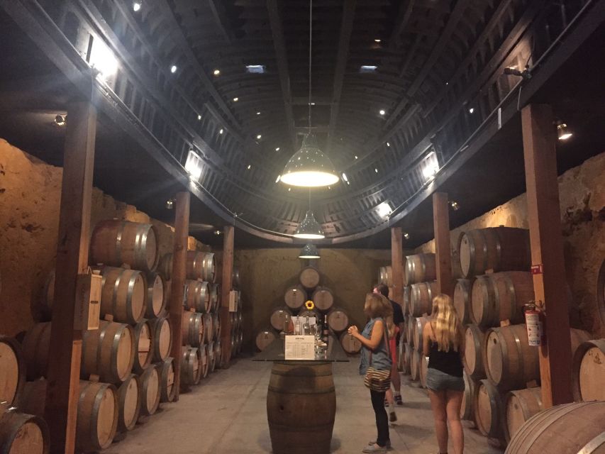 Valley of Guadalupe Wine Tasting Tour