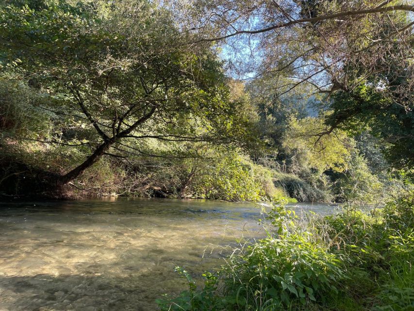 Valnerina: Fly Fishing Day With Guide