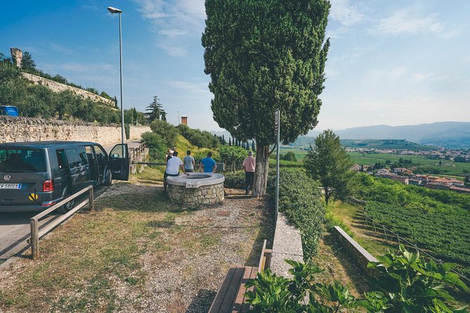 Valpolicella and Amarone Wine-Tasting Tour From Verona