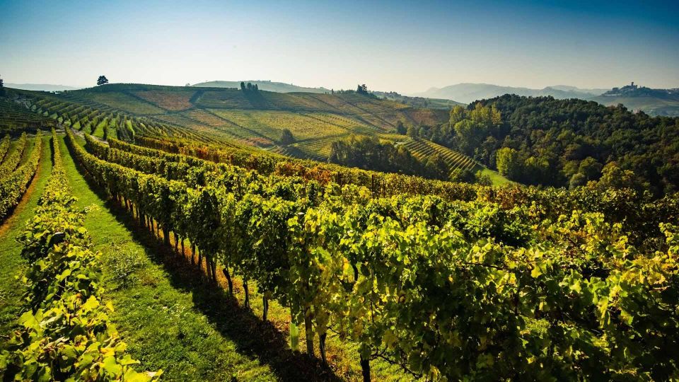 Valpolicella Private Tour Wine Tasting With Lunch - Tour Details