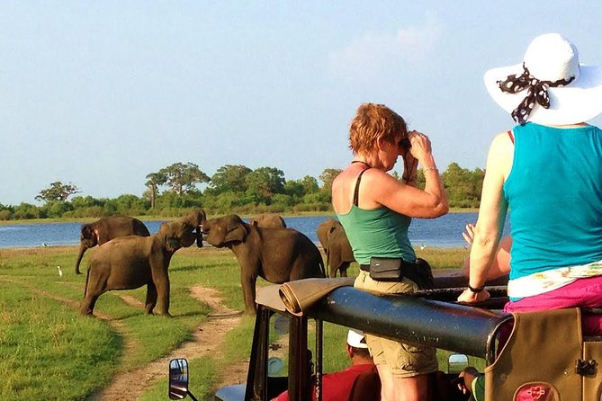 VALUE PACK! One Day Safari Tour to Yala and Udawalawe - Private & All Inclusive - Yala National Park Exploration