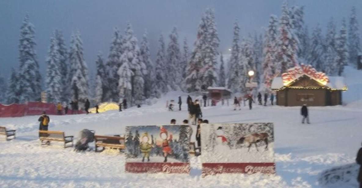 Vancouver Capilano Canyon Light&Peak of Christmas in Grouse