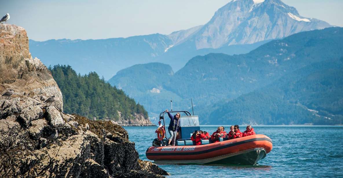 Vancouver: Howe Sound Fjords, Sea Caves & Wildlife Boat Tour
