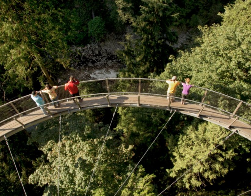 Vancouver: Small Group Tour W/Capilano & Grouse Mtn Lunch