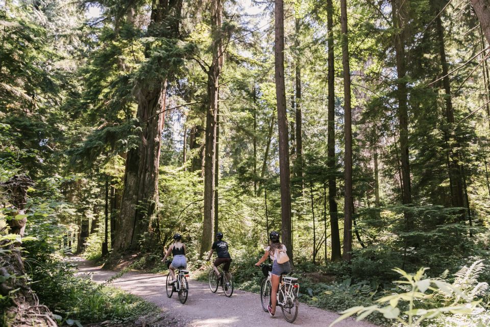 Vancouver: Stanley Park Bicycle Tour - Overview of the Tour