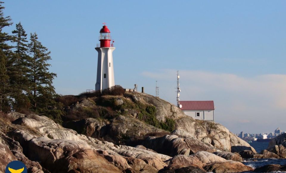 Vancouver Whale Watching Safari - Tour Description