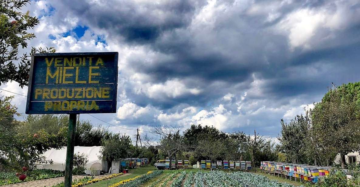 Venice: Bike Tour Honey & Artichokes on Sant'Erasmo Island