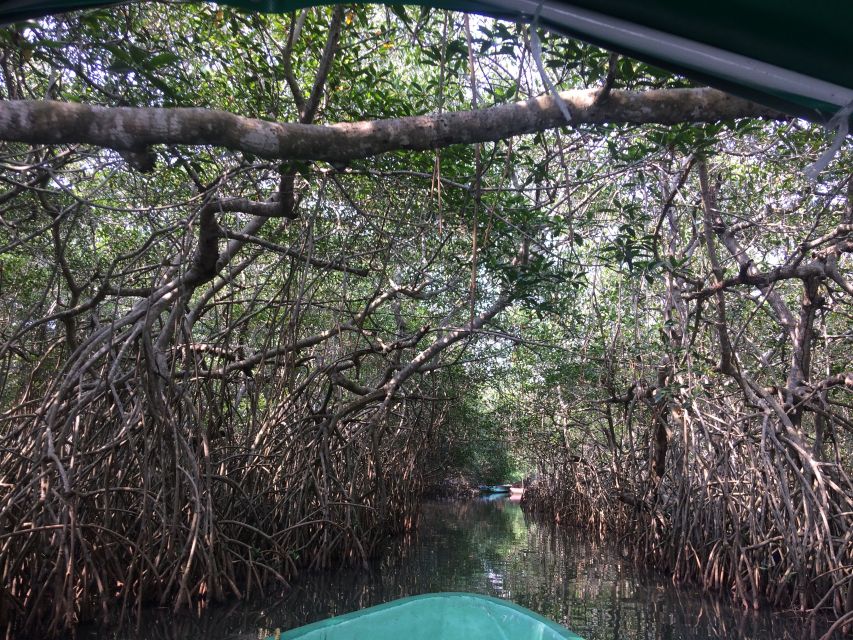 Veracruz: City Tour With Mandinga Boat Ride