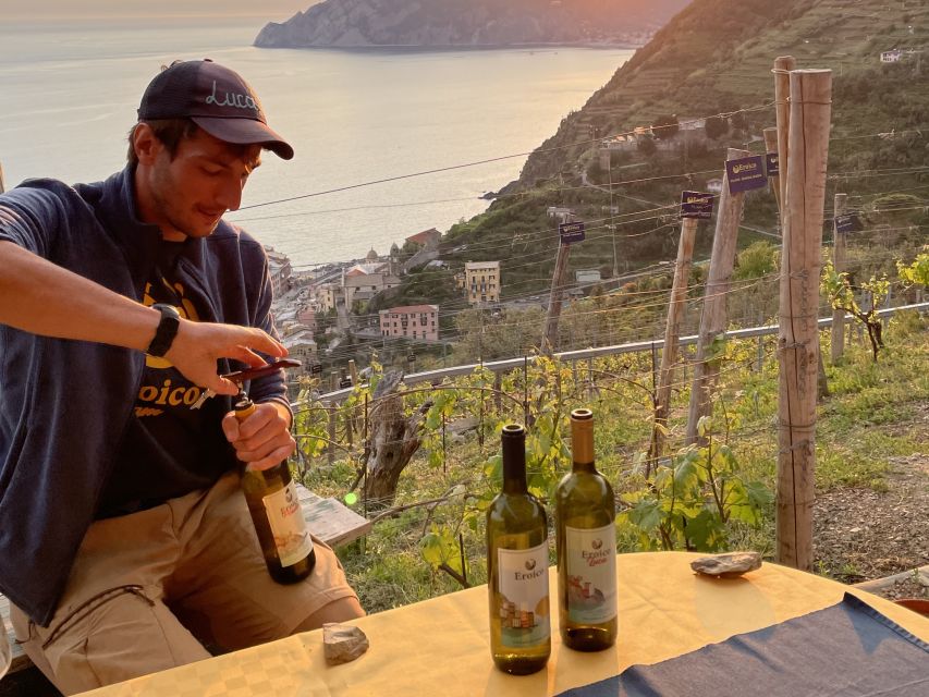 Vernazza: Panoramic Vineyard Trekking Tour With Wine Tasting