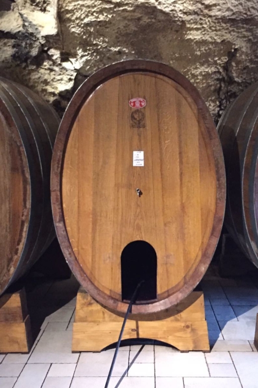 Verona: Amarone Wine Tour With Gourmet Lunch in Roman Villa