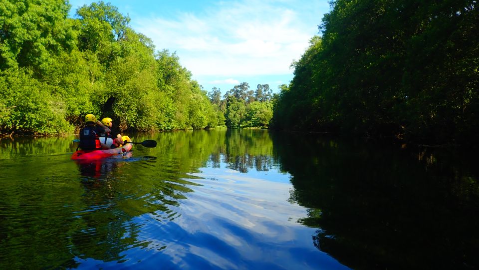 Viana Do Castelo: Kayak Tour at Lima River