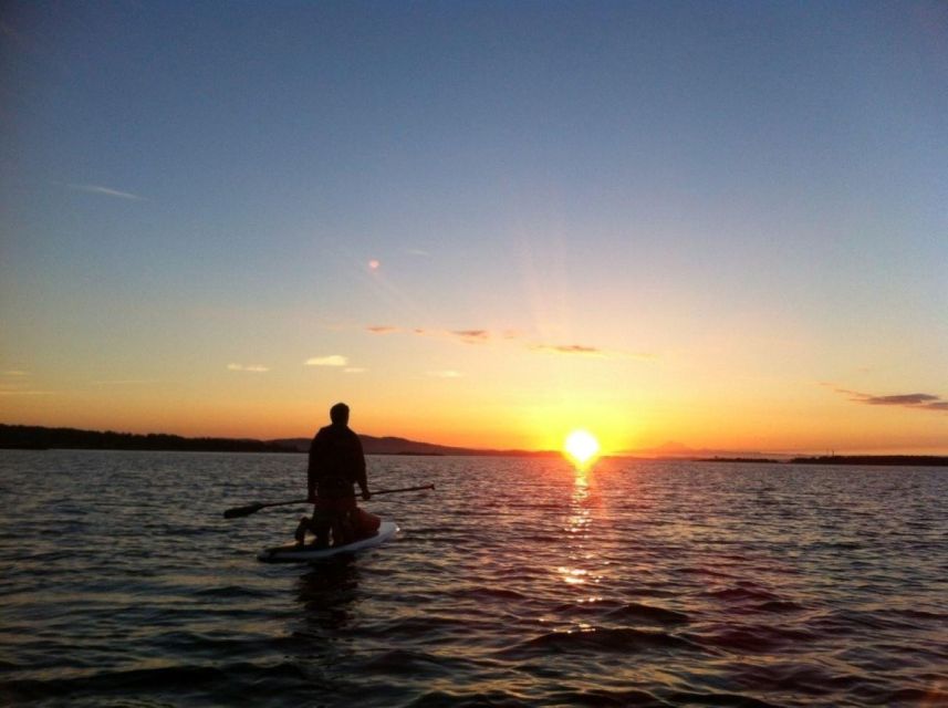 Victoria: Sunrise or Sunset SUP Tour