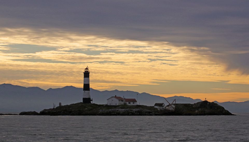 Victoria: Sunset Whale Watching Tour on an Open Scarab Boat