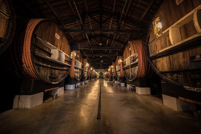 VIP Tour of the Cellars and Wine and Vermouth Tastings