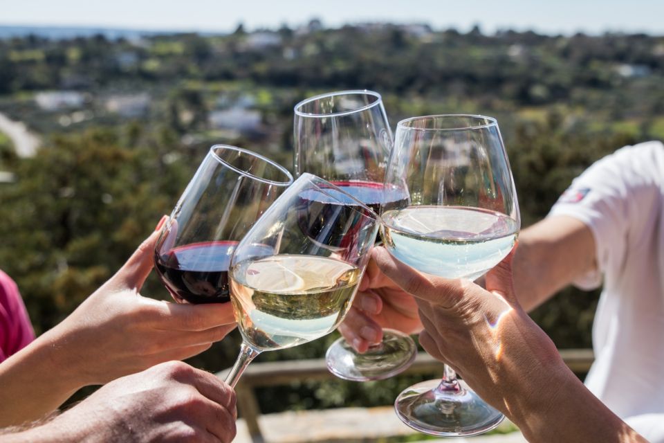 Visit a Winery and an Oil Mill in Cisternino