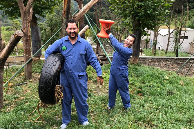 Visiting Dujiangyan Yaan Wolong Panda Base Optional Volunteering