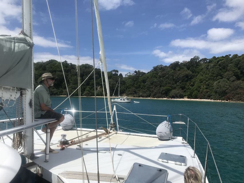 Waiheke Island: Gulf Marine Park Sailing Adventure & Lunch