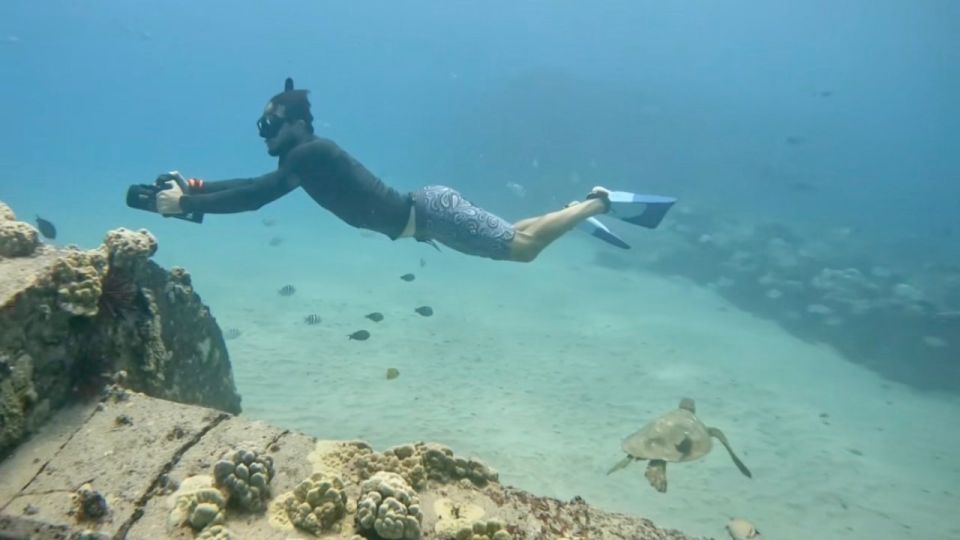 Waikiki: Monk Seal Bay Dolphin and Turtle Jet Snorkel Tour