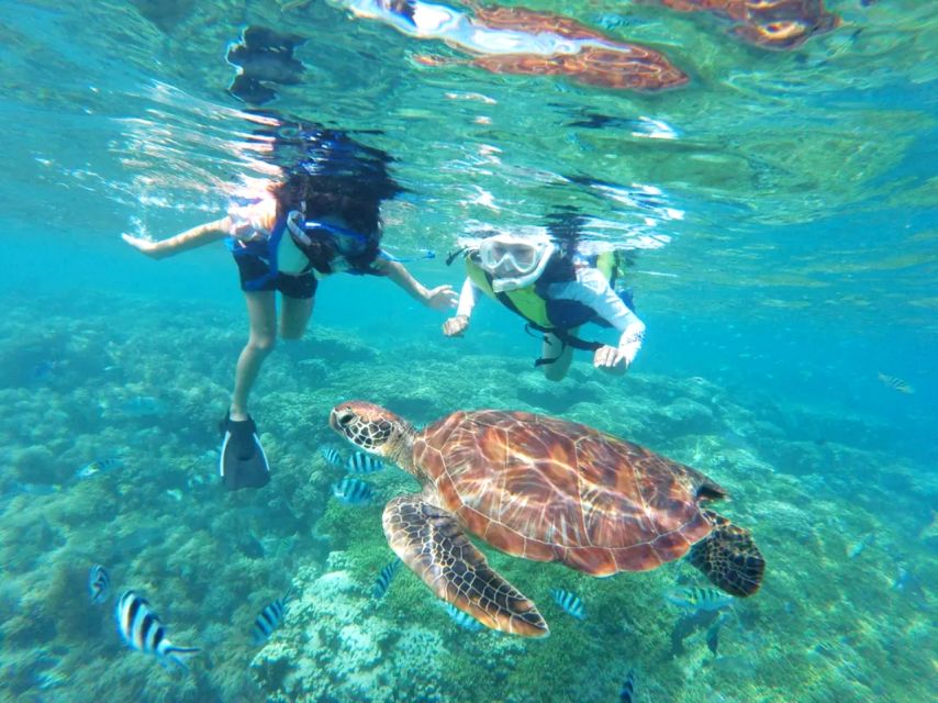 Waikiki: Turtle Snorkeling Cruise With 20FT Jumping Platform