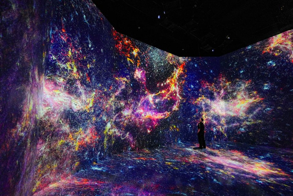 Washington, DC: ARTECHOUSE Immersive Art Experience Ticket