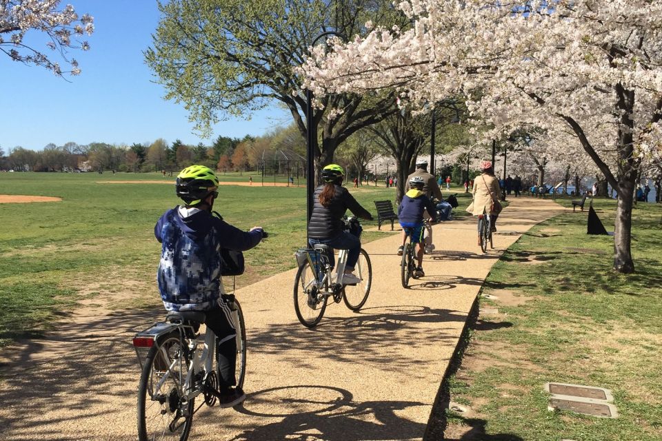 Washington DC: Cherry Blossom Festival Tour by Bike - Tour Overview