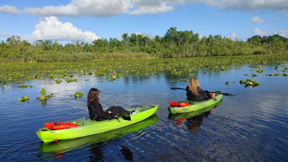 Wekiva Wildlife Kayaking Adventure Tour