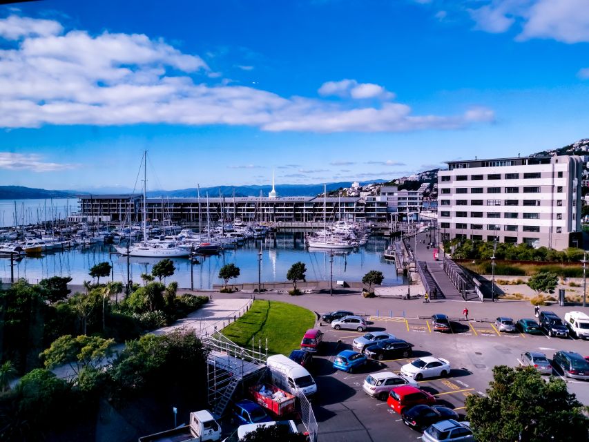 Wellington: 9-Minute Scenic Flight Ride