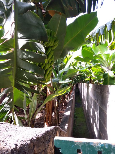 West Coast of Madeira - Sunniest Part of the Island