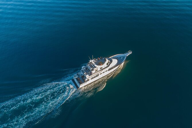 Whale Watching Cruise on a Yacht in Reykjavik