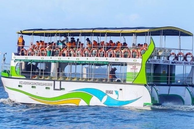 Whales and Dolphins Watching-Luxury Super Grade Cruiser(Hotel Pick up Offered) - Overview of the Tour