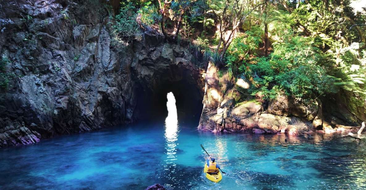 Whangamata: Donut Island Guided Kayaking Experience