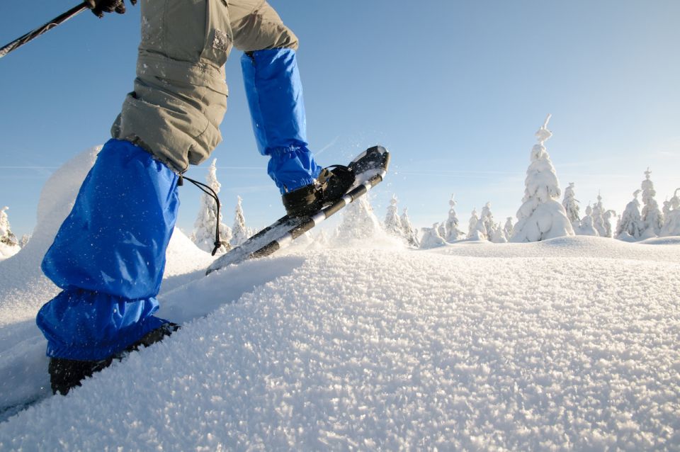 Whistler: Backcountry Snowshoeing Tour With Guide