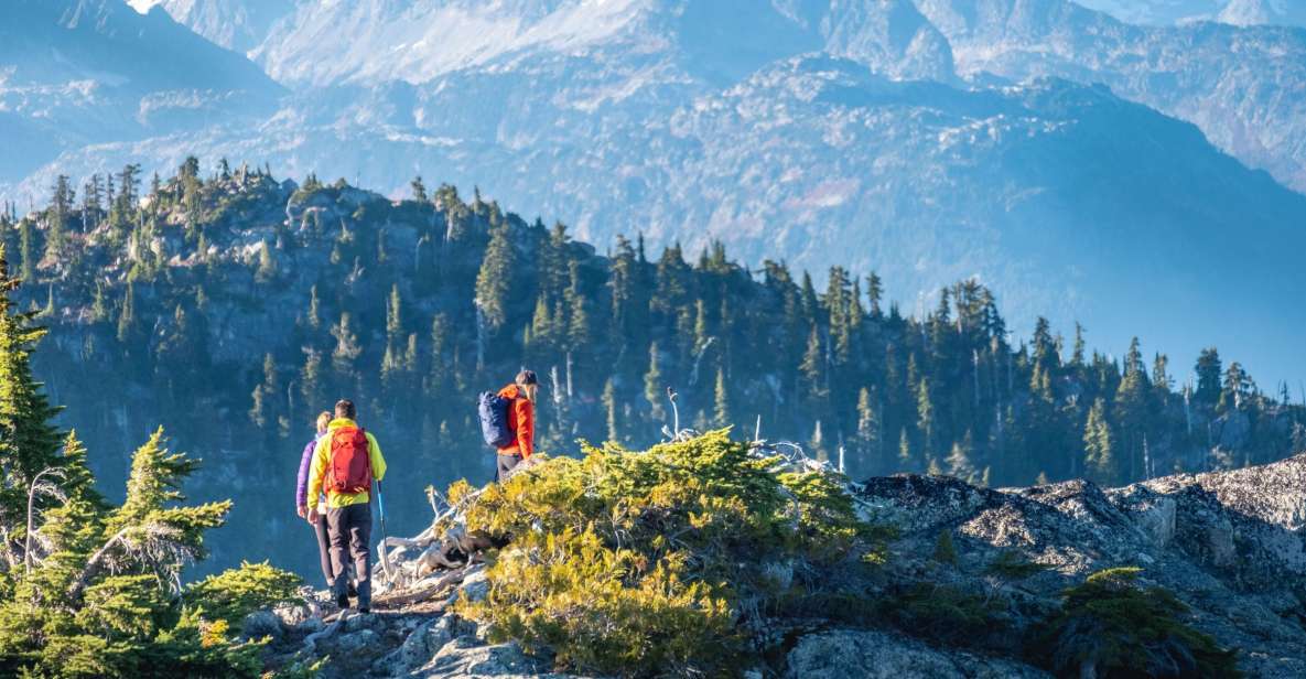 Whistler: Guided Wilderness Hike - Overview of the Guided Hike