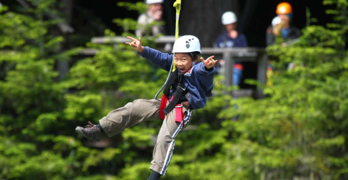 Whistler Zipline Experience: Ziptrek Bear Tour - Overview of the Zipline Experience