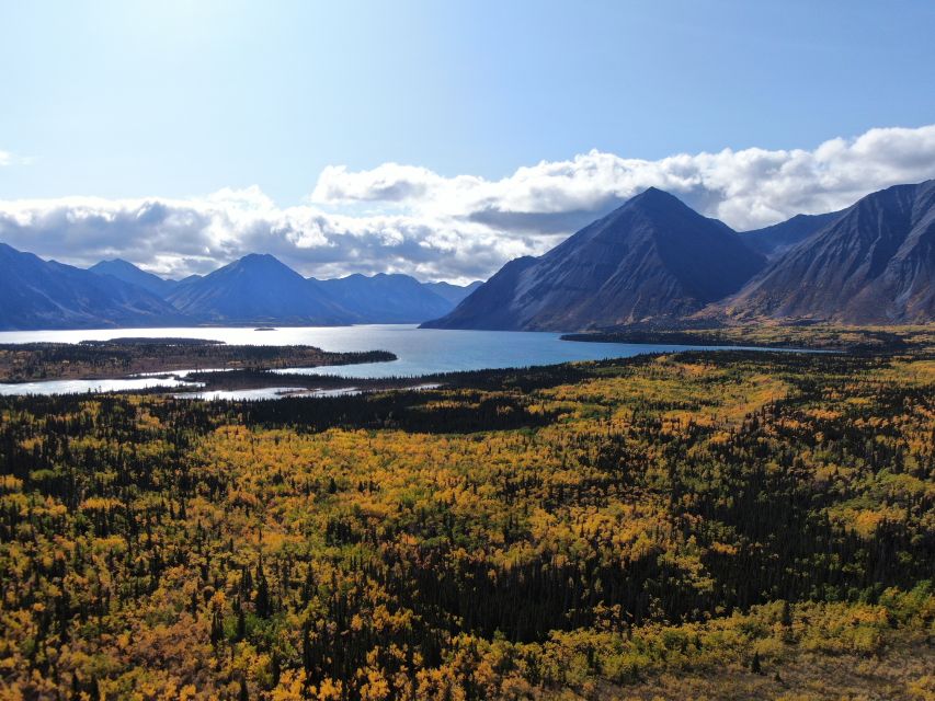 Whitehorse: Kluane National Park & Haines Junction Day Trip