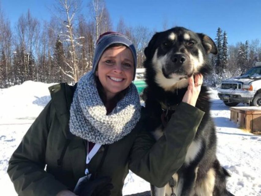 Willow: Traditional Alaskan Dog Sledding Ride