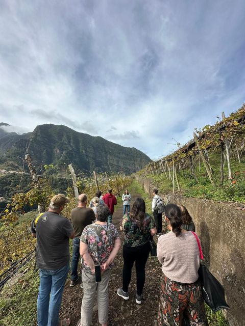 Wine Day Tour & Lunch in the Vineyard