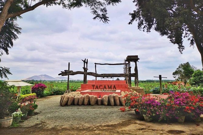 Wine, Pisco and Dune Buggy Experience