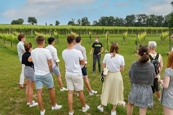 Winery Tour and Tasting of Garda Wines in Lazise