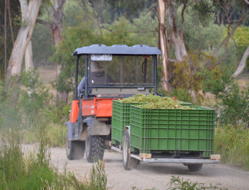 Yarra Valley and Dandneong Ranges: Scenic Bus Tour and Lunch