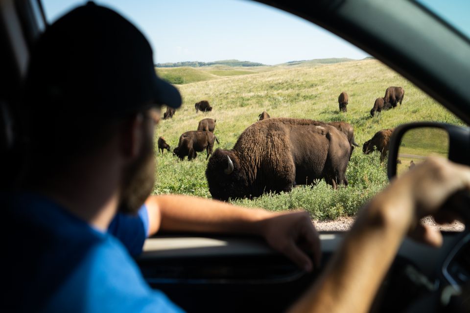 Yellowstone: Tour of National Park Highlights