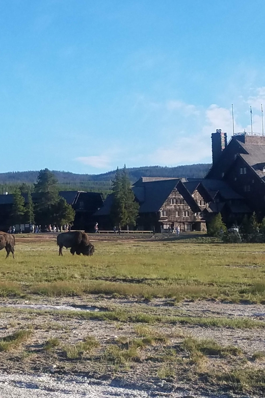 Yellowstone: Upper Geyser Basin Guided and Audio Tour