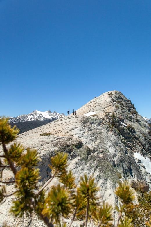 Yosemite High Country & Mariposa Grove Small-Group Tour