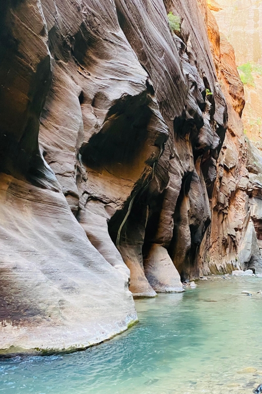 Zion Narrows – Guided Hike and Picnic