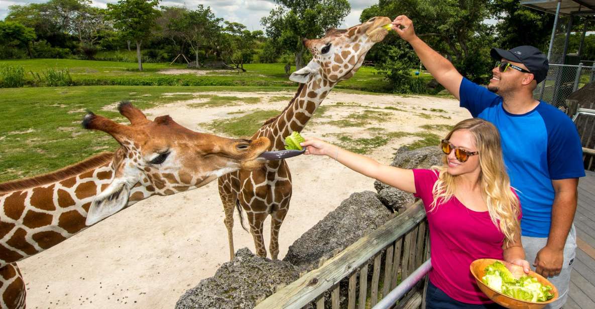 Zoo Miami: General Admission Ticket