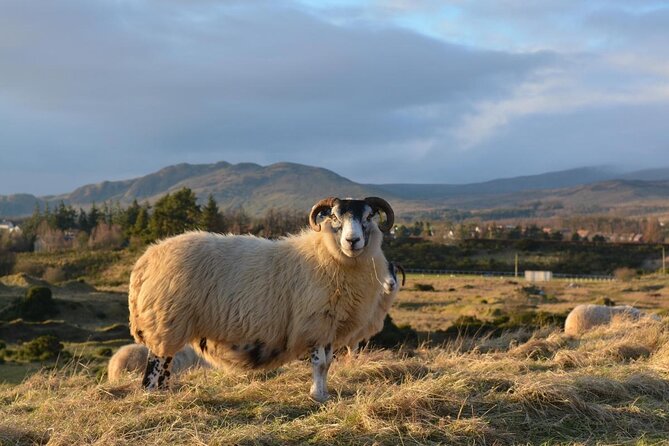 1-Day Castles, West Highlands and Loch Lomond Tour From Edinburgh - Meeting and Pickup